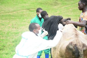 Nyabihu: Abaturiye TSS Bigogwe bemeza ko yabahinduriye imibereho
