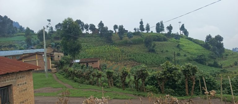 Rubavu: Abaturage baturiye transfo barataka kutagira umuriro w’amashanyarazi