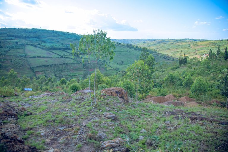 Kayonza: I Rukara bazengerejwe n’abiyise ‘Imparata’
