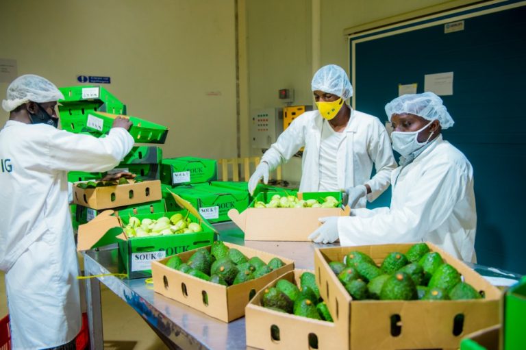 Umusaruro w’ibikorerwa mu Rwanda byoherezwa mu mahanga wazamutseho 11,4%