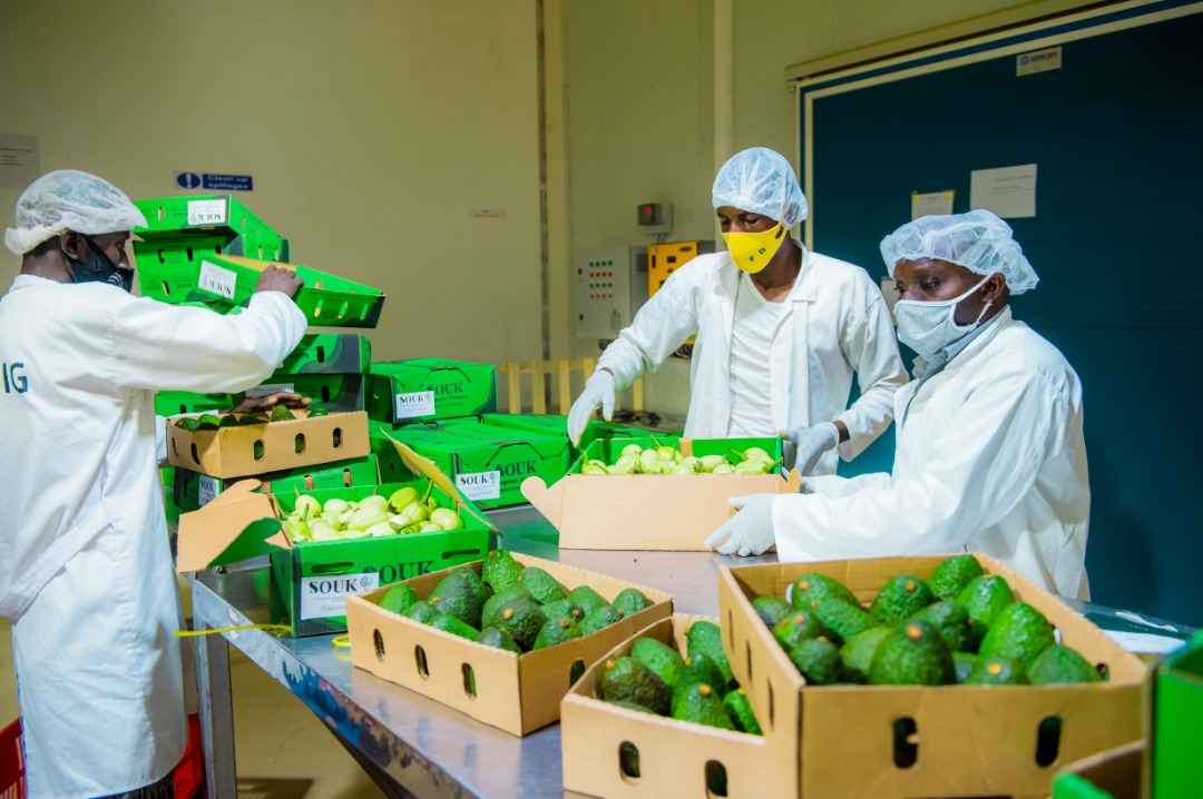 Umusaruro w’ibikorerwa mu Rwanda byoherezwa mu mahanga wazamutseho 11,4%