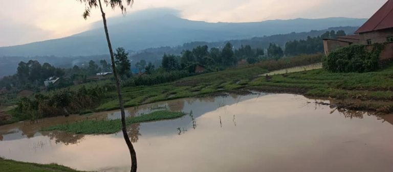 Busogo babangamiwe n’amazi ava mu birunga asatira ingo akanangiza imyaka