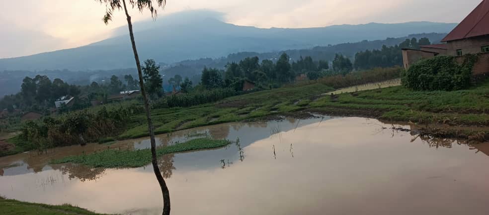Busogo babangamiwe n’amazi ava mu birunga asatira ingo akanangiza imyaka
