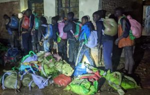 Burera: Polisi yafatanye abasore 9 litiro za kanyanga zisaga 1000 n’urumogi ibilo 5