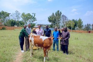 Nyagatare: Abamotari bashumbushije uwarokotse Jenoside&nbsp;&nbsp;watemewe inka