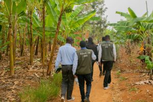 Ubushakashatsi bwa 7 ku mibereho n’ubuzima by’abaturage bwageze i Kigali&nbsp;