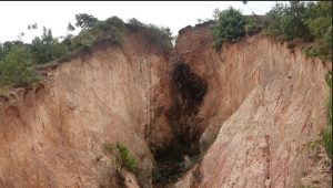 Huye: Agace katwawe n’inkangu kangiza imyaka ihinze mu gishanga