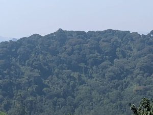 Karongi: Isatura yariye uwahiraga hafi ya Nyungwe imwangiza ibice by’umubiri