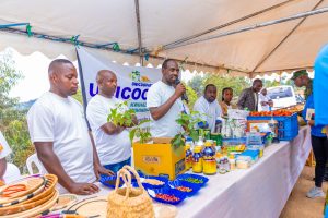 Nyamagabe: Impunzi z’Abanyekongo zirasaba Leta aho kwagurira ubworozi&nbsp;
