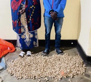 Musanze: Umusore na nyina bafatwanywe udupfunyika 2.520 tw’urumogi 