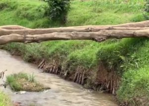 Batewe inkeke n’ikiraro cy’ibiti 3 gihuza Musanze na Gakenke