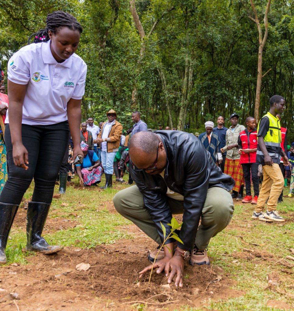 Ibiti bikwiye kubungabungwa, ibiterwa 60% byangirika bitarakura- Dr Nsengiyumva
