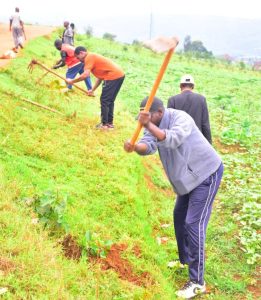 Bumbogo: Ibiti birenga 6 000 byatewe byitezweho kurengera ibidukikije