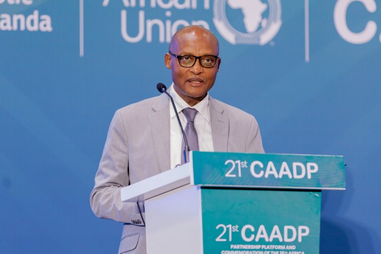 U Rwanda rubona AI yakemura ibibazo byugarije&nbsp;ubuhinzi muri Afurika