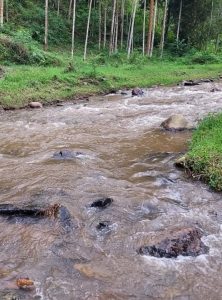Nyamasheke: Yahitanywe n’umugezi avuye kuvumba inzoga