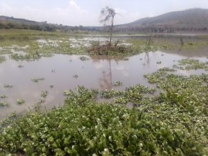 Kayonza: Umusore warohamye mu mazi yakuwemo yapfuye