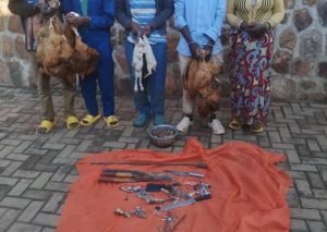 Kamonyi: Bafatanywe inkwavu n’inkoko bakekwaho kwiba abaturage