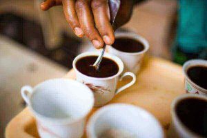 Abanyarwanda banywa 5% by’ikawa bejeje