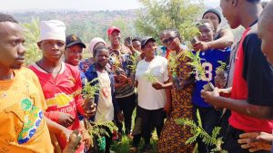 Kamonyi: Mbere y’igitaramo Senderi Hit yifatanyije n’abaturage batera ibiti 3 000