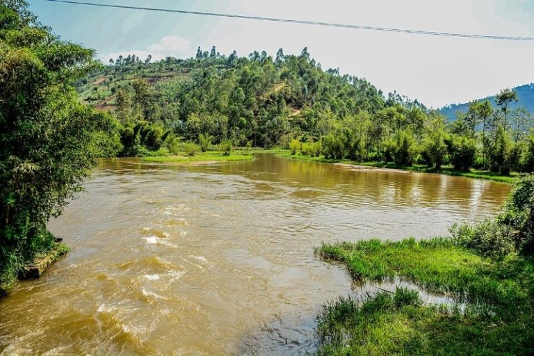Musanze: Gutera imigano ku nkengero za Mukungwa byabarinze imyuzure yabangirizaga&nbsp;
