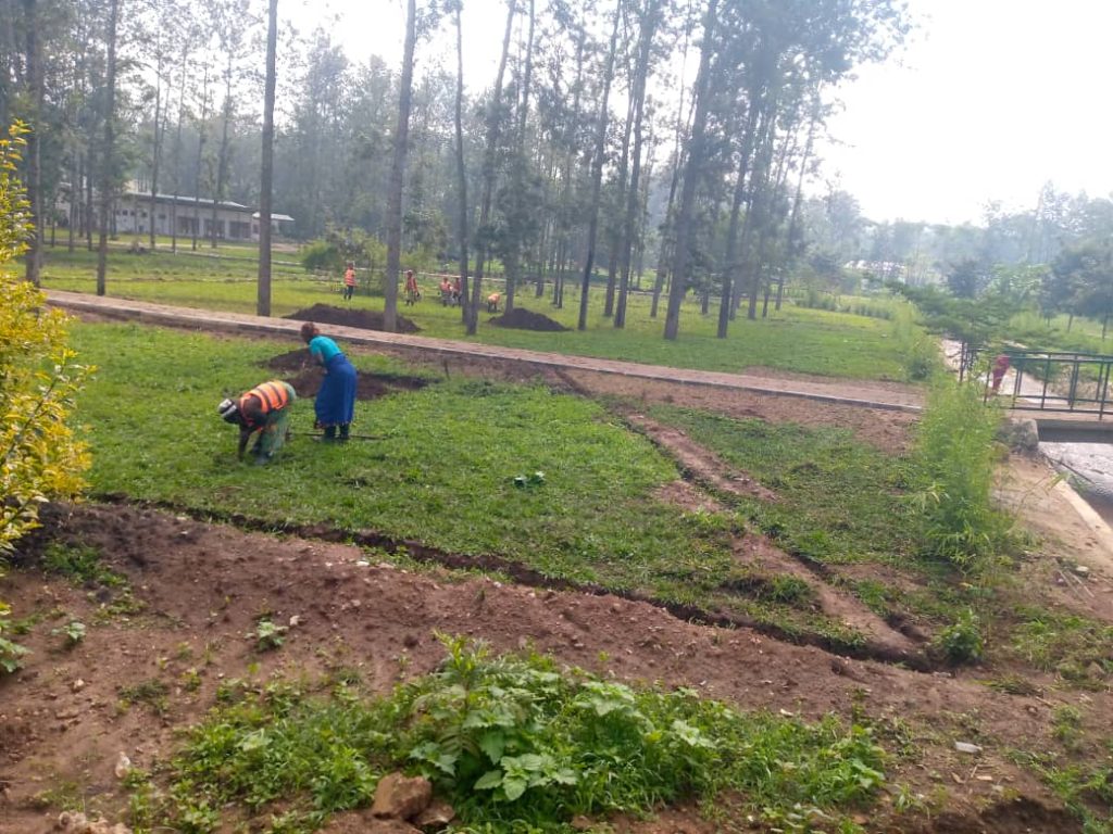 Nyagatare: Byinshi ku busitani buzahindura isura y’umujyi bunazamure iterambere