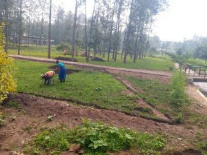 Nyagatare: Byinshi ku busitani buzahindura isura y’umujyi bunazamure iterambere