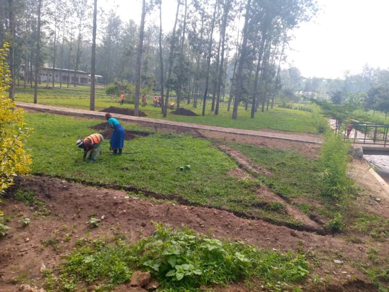 Nyagatare: Byinshi ku busitani buzahindura isura y’umujyi bunazamure iterambere