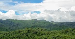 Rutsiro: Abagore bagaragaje akamaro ku kubungabunga Ibyanya bikomye