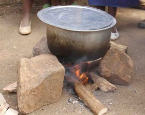 Ingo 94% ziracyacana inkwi n’amakara, ikibazo gikomeye ku bidukikije