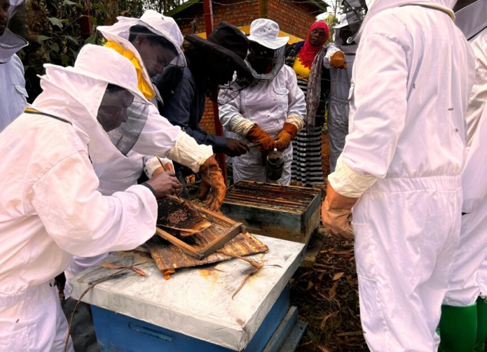 Rutsiro: Abagore bagaragaje akamaro ku kubungabunga Ibyanya bikomye