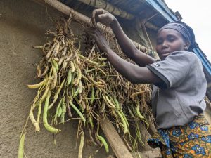 Bweyeye: Batangiye umwaka bishimira kuganura ku byo bahinze