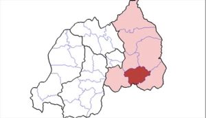 Ngoma: Basanze inka zabo zatemaguwe imwe yanogowemo amaso