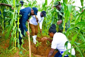 Burera: Inzego z’Umutekano mu Majyaruguru zateye ibiti