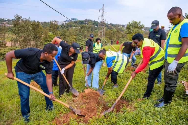 Kigali: Ikigega Agaciro Development Fund cyateye ibiti 200 by’imitako