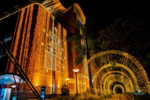 Iminsi Mikuru yahumuye! Umujyi wa Kigali watangiye kurimbishwa (Amafoto)
