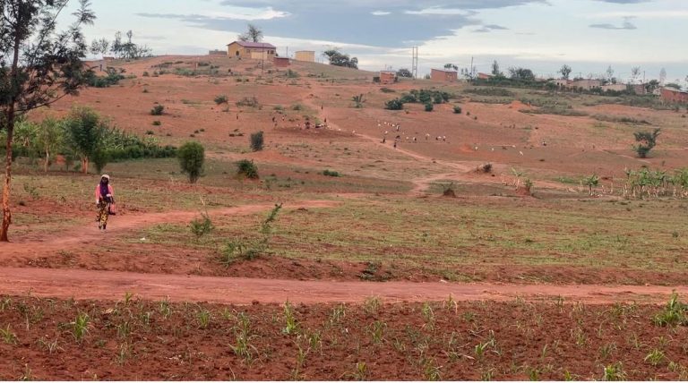 U Rwanda rwashoye miliyari 300 Frw: Amapfa mu Burasirazuba agiye kuba amateka