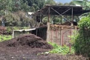 Musanze: Hari uruganda rubateza  umunuko ubabuza gusinzira