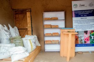 Amajyaruguru: Ibiciro by’ibiryo by’amatungo bihanitse bituma bagabanya ayo borora