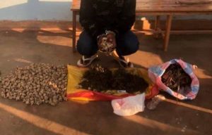 Rulindo: Yafatanywe udupfunyika 689 tw’urumogi yari kugurisha ku Bunani