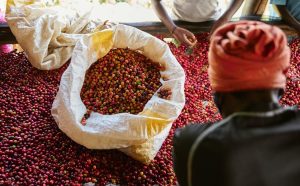 Ikawa yinjirije u Rwanda miliyari 219 Frw mu 2025