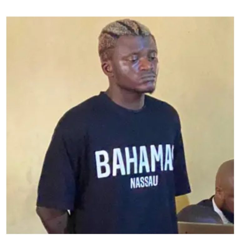 Umuhanzi Portable washinjwaga urugomo yafunguwe