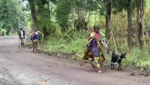 Burera: Ubujura butuma bagendana amatungo aho bagiye hose