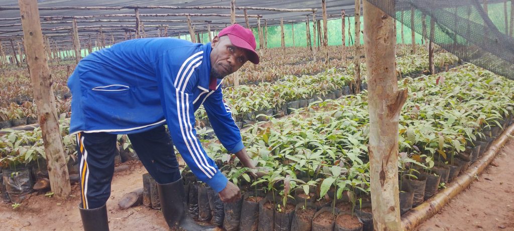 Kabare: Barashima ko umushinga wo guhumbika imbuto ubafasha kwikenura