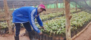 Kabare: Barashima ko umushinga wo guhumbika imbuto ubafasha kwikenura
