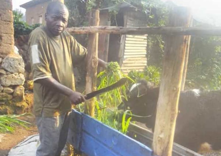 Rubavu: Abikesha Girinka, yiyubakiye inzu yo kubamo n’iy’ubucuruzi