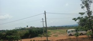 Kayonza: Abaturiye ishyamba bahawe amashanyarazi biruhutsa inyamaswa zabateraga