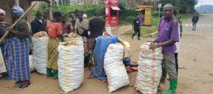 Nyabihu- Gishwati: Amaterasi y’indinganire yazamuye umusaruro w’abahinzi