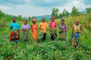 Kayonza: Bavuye ku guhingira inkono bahingira isoko