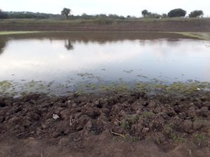 Nyagatare: Abatunze “damu” zateza impanuka basabwe kuzizitira