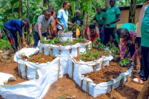 Intara y’Iburasirazuba yizeye kugabanya igwingira kugera kuri 15%